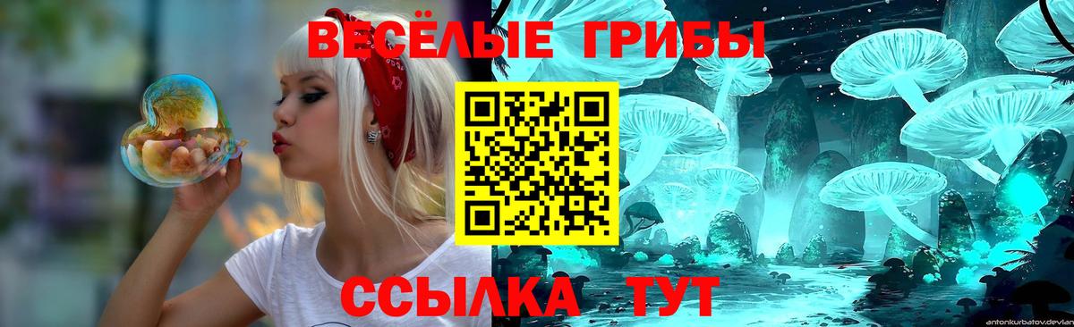 Волгоград  Галлюциногенные грибы GOLDEN TEACHER  Вход с VPN  Псилоцибиновые грибы прущие грибы 